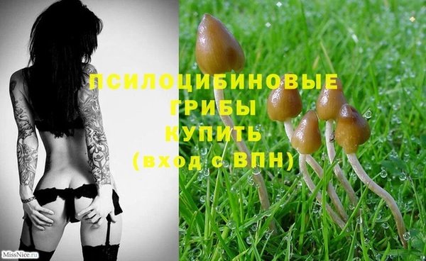 дурь Балахна