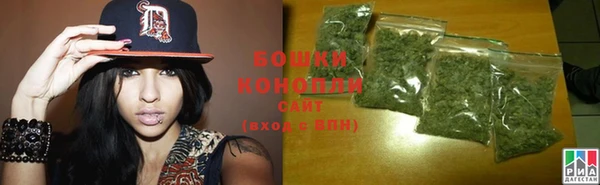 эйфоретик Покачи