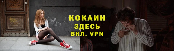 индика Белоозёрский