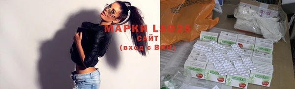индика Белоозёрский